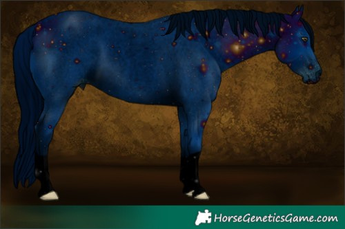 Horse Color:ERROR: UNKNOWN ANOMALY
