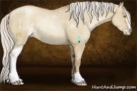 Horse Color:Silver Grullo Pearl Sabino Rabicano 