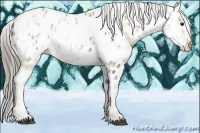 Horse Color:Chocolate Palomino Ice Near Leopard