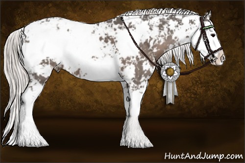 Horse Color:Silver Black Sabino 