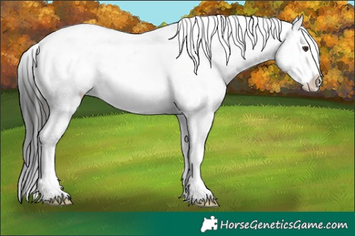 Horse Color:Liver Red Dun Snowcap 