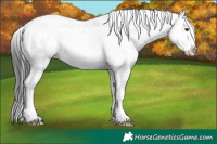 Horse Color:Liver Red Dun Snowcap 
