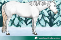 Horse Color:White Spotted Buckskin Ice Pearl Snowflake VarnishRabicano 