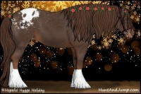 Horse Color:Liver Chestnut Appaloosa 