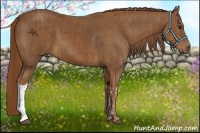 Horse Color:Chestnut  and Chestnut 