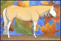 Horse Color:Cremello Dun Splash 