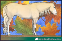 Horse Color:Cremello Dun Splash 