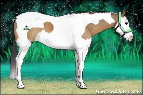 Horse Color:Brown Dun Splash Tobiano