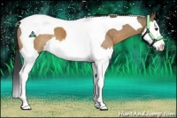 Horse Color:Brown Dun Splash Tobiano 