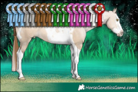 Horse Color:Brown Pearl Dun Splash Tobiano 