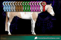 Horse Color:Brown Pearl Dun Splash Tobiano 