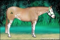 Horse Color:Brown Pearl Sabino Splash 