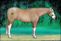 Horse Color:Black Pearl Sabino Splash