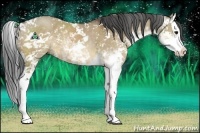 Horse Color:Brown Dun Sabino Splash 