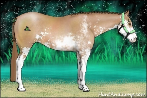 Horse Color:Brown Pearl Sabino 