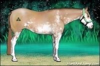 Horse Color:Brown Pearl Sabino 