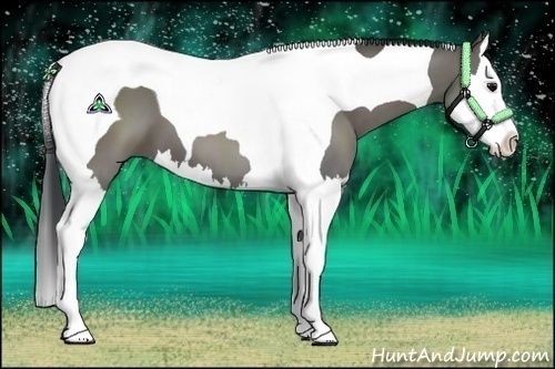 Horse Color:Grullo Splash Tobiano 