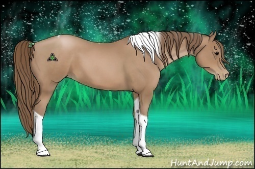 Horse Color:Black Pearl Tobiano 