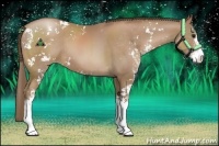 Horse Color:Black Pearl Sabino