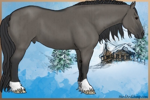 Horse Color:Grullo Brindle 