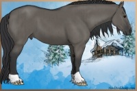 Horse Color:Grullo Brindle 