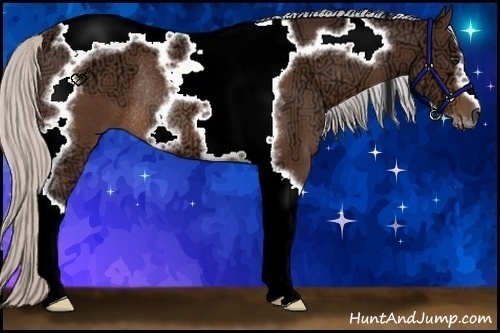 Horse Color:Silver Brown Ice Tobiano Frame Rabicano 