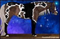 Horse Color:Silver Brown Ice Tobiano Frame Rabicano