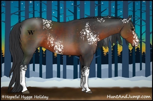 Horse Color:White Spotted Brown