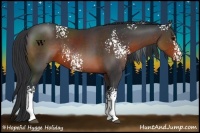 Horse Color:White Spotted Brown