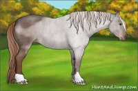 Horse Color:Liver Red Roan 