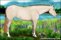 Horse Color:Smoky Grullo Pearl 