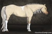 Horse Color:Silver Buckskin Roan Pearl Dun Tobiano 