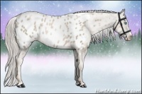Horse Color:Chocolate Palomino Ice Pearl Near Leopard 