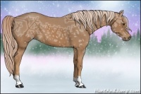 Horse Color:Palomino Ice 