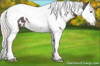 Horse Color:White Spotted Silver Black Splash Tobiano 