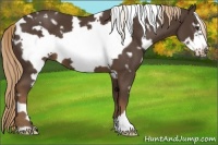 Horse Color:White Spotted Liver Chestnut Frame