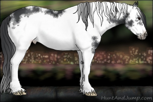 Horse Color:White Spotted Black Frame 