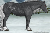 Horse Color:Silver Black Chinchilla Sabino 