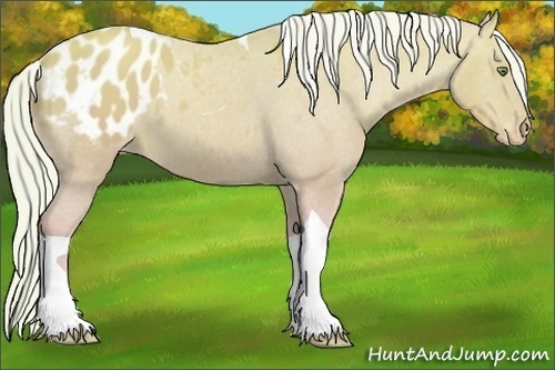 Horse Color:Watercolor Silver Sable Champagne Tobiano Appaloosa