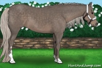 Horse Color:Silver Black Sabino 