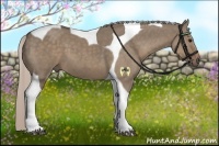 Horse Color:Silver Grullo Tobiano