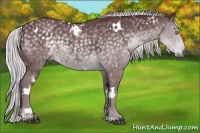 Horse Color:White Spotted Chocolate Silver Black Chinchilla