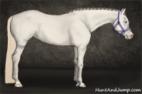 Horse Color:Smoky Creme Roan Dun 