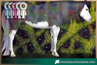 Horse Color:Nacre Liver Chestnut Splash