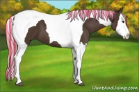 Horse Color:Painted Liver Chestnut Splash Tobiano