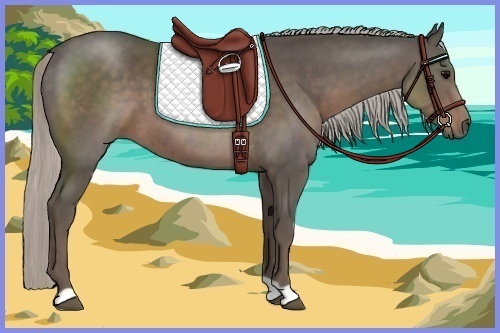 Horse Color:Silver Black 