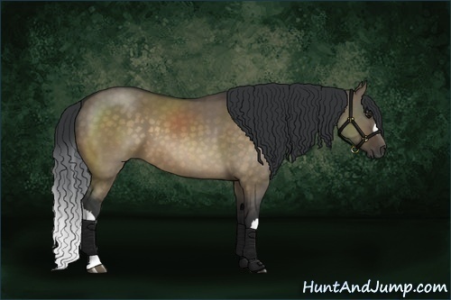Horse Color:Brown Dun 