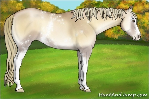 Horse Color:White Spotted Red Onyx Pearl 