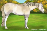 Horse Color:White Spotted Red Onyx Pearl 