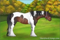 Horse Color:Brown Tobiano Rabicano